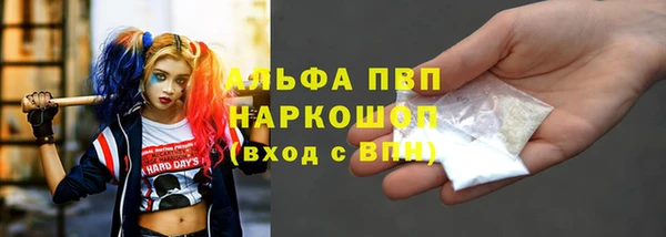 сатива Переславль-Залесский
