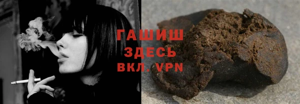 индика Весьегонск