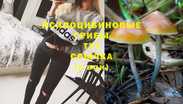 сатива Переславль-Залесский