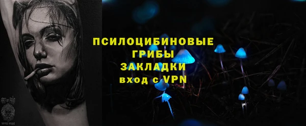 МДПВ Пестово