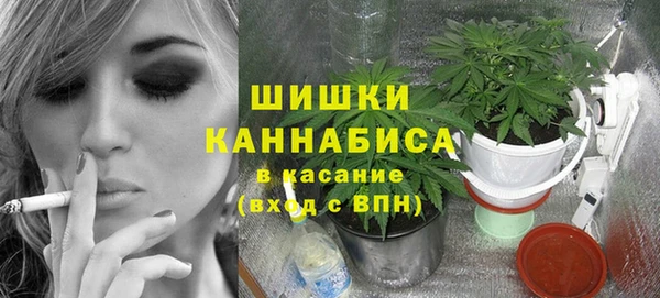 МДПВ Пестово