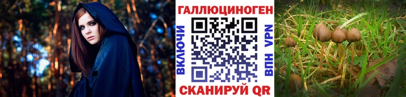 Галлюциногенные грибы MAGIC MUSHROOMS купить сайты Арск